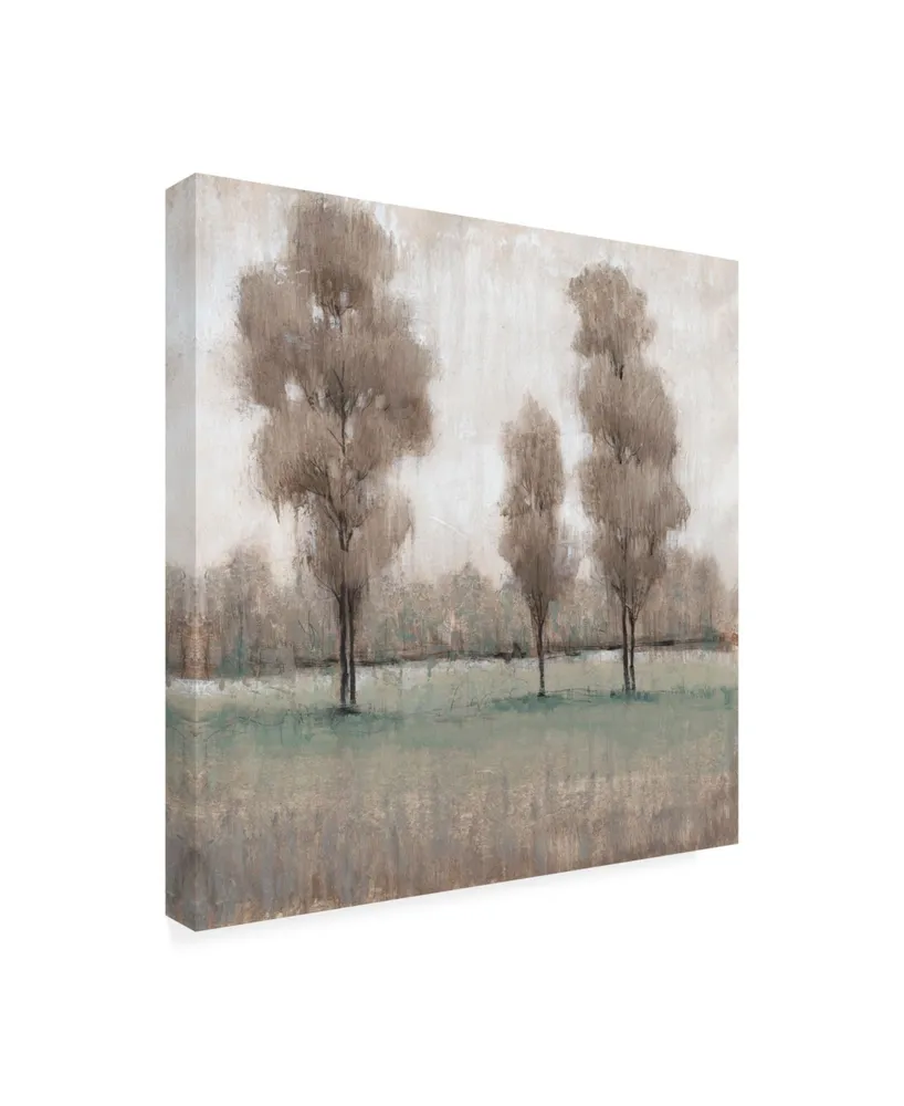 Tim Otoole Shimmering Trees I Canvas Art