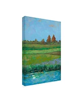 Mehmet Altug Impressionist Meadow Ii Canvas Art - 20" x 25"