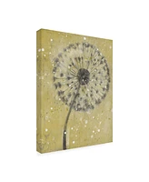 Tim Otoole Dandelion Abstract I Canvas Art - 20" x 25"