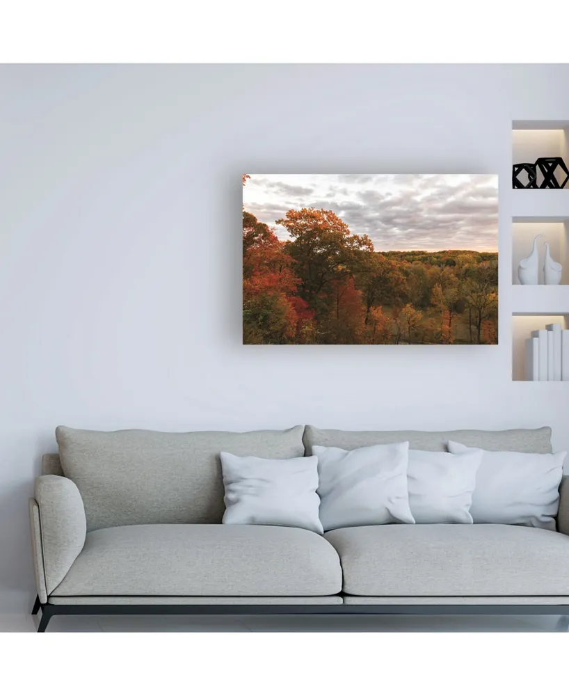 Kurt Shaffer Photographs Colors of Autumn at Sunset Canvas Art