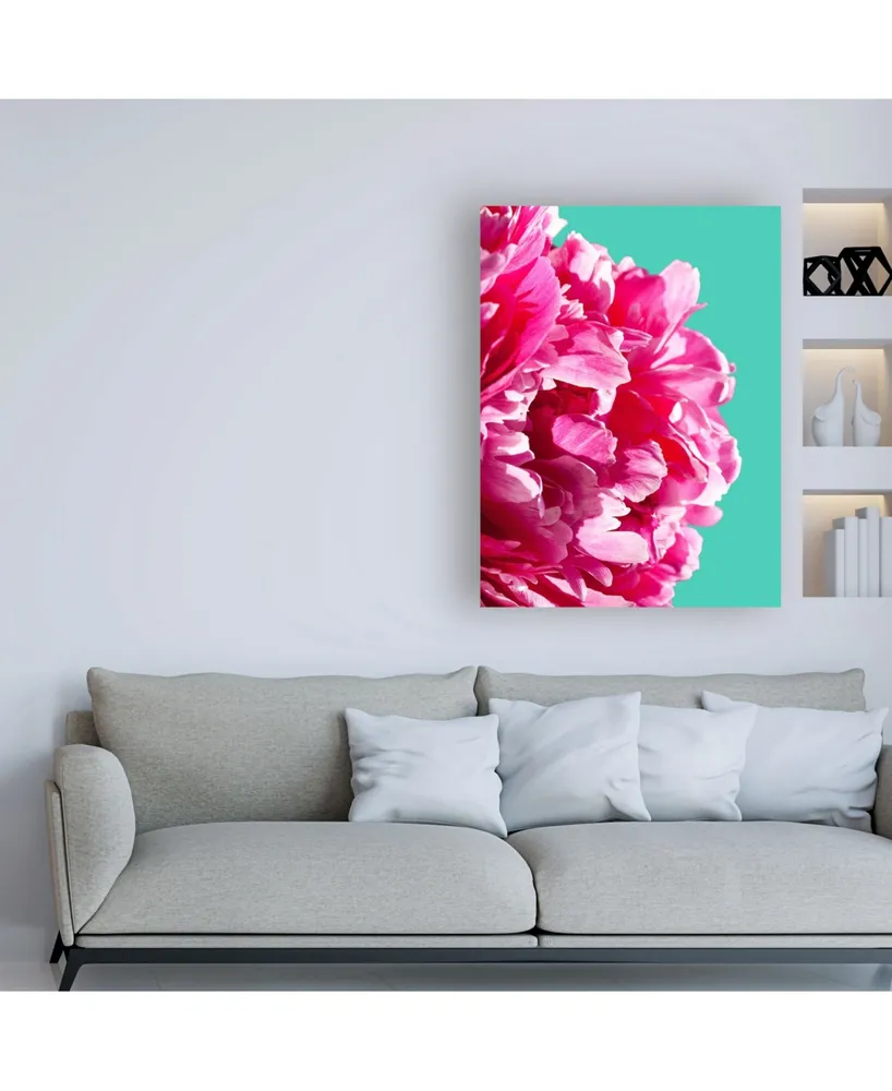 Lexie Gree Pink Peony on Teal Canvas Art