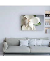 PhotoINC Studio Magnolia White and Gray Canvas Art - 27" x 33.5"