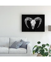 Ethan Harper Rustic Ram Mount Ii Canvas Art - 20" x 25"