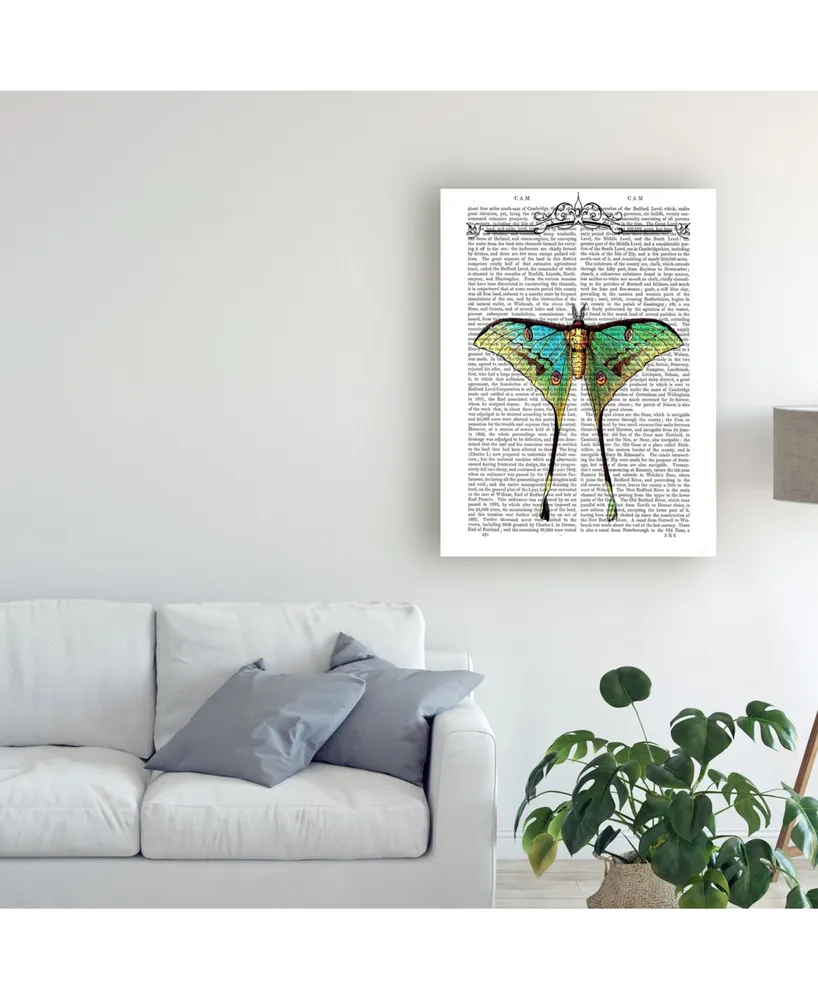 Fab Funky Butterfly 1 Canvas Art