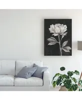 Ethan Harper Black and White Flowers Iii Canvas Art - 36.5" x 48"