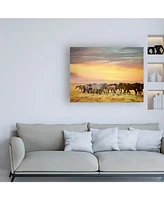 Ph Burchett Sunkissed Horses I Canvas Art - 36.5" x 48"