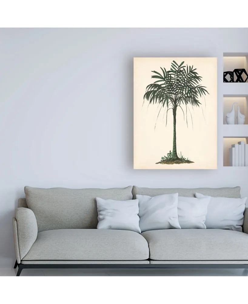 Melissa Wang Palm Tree Study Ii Canvas Art
