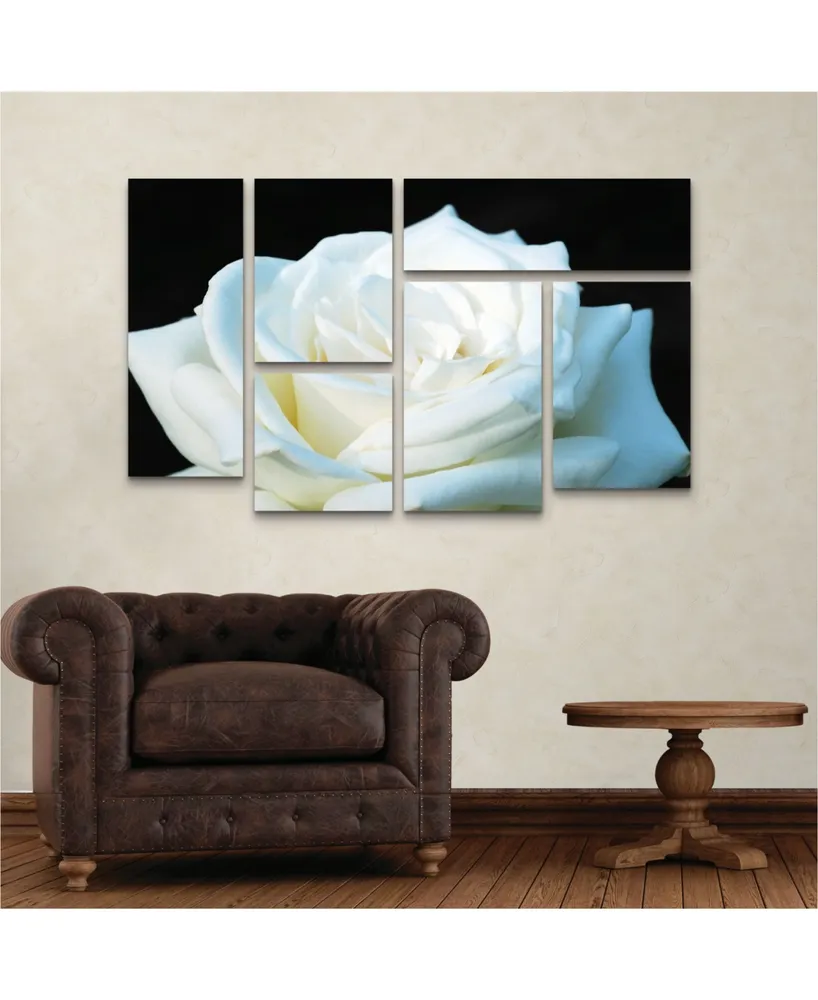 Kurt Shaffer White Rose Ii Multi Panel Art Set 6 Piece - 49" x 19"