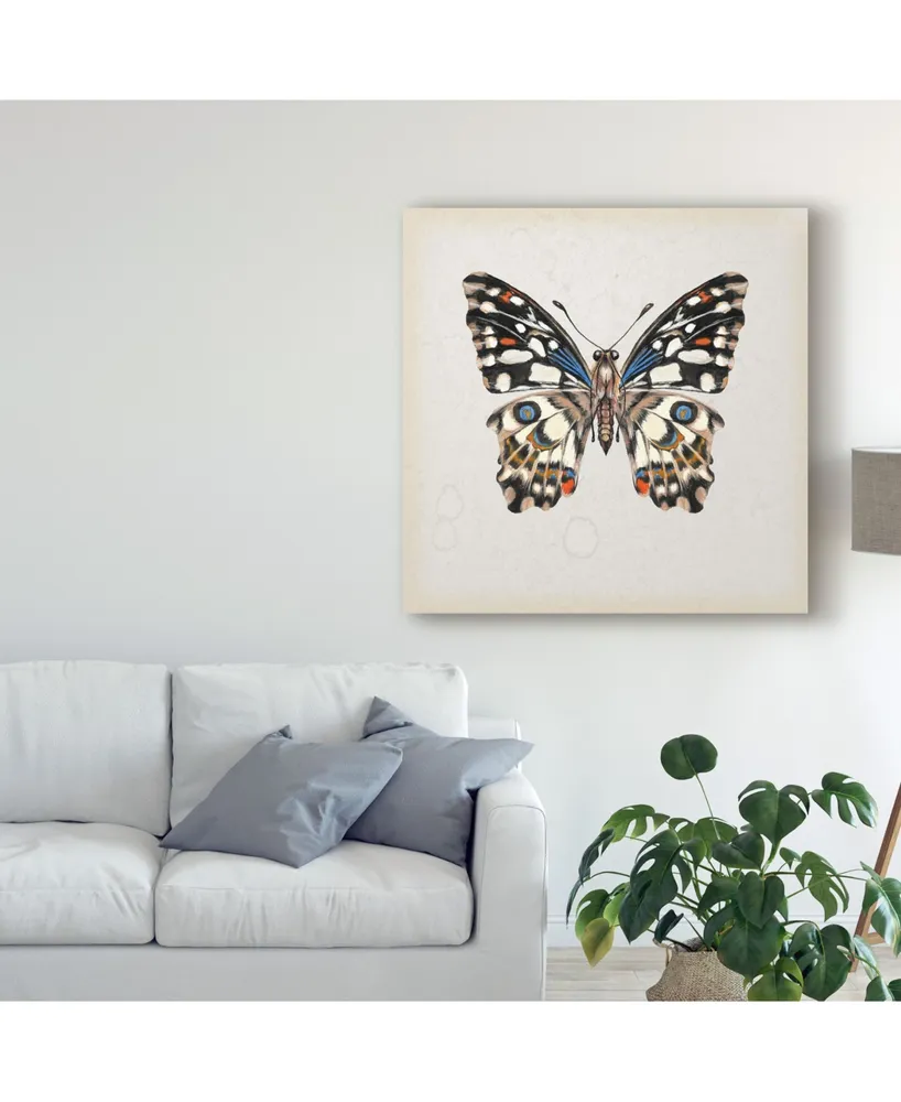 Melissa Wang Butterfly Study Ii Canvas Art