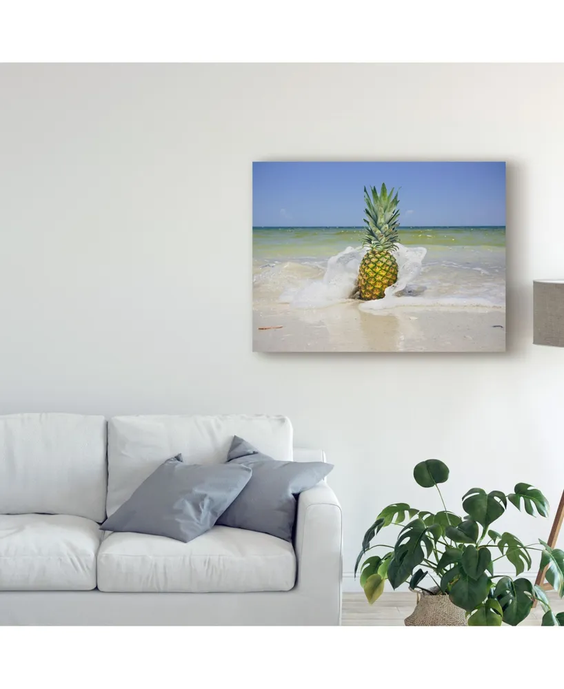 Adam Mead South Florida Pineapple Iv Canvas Art