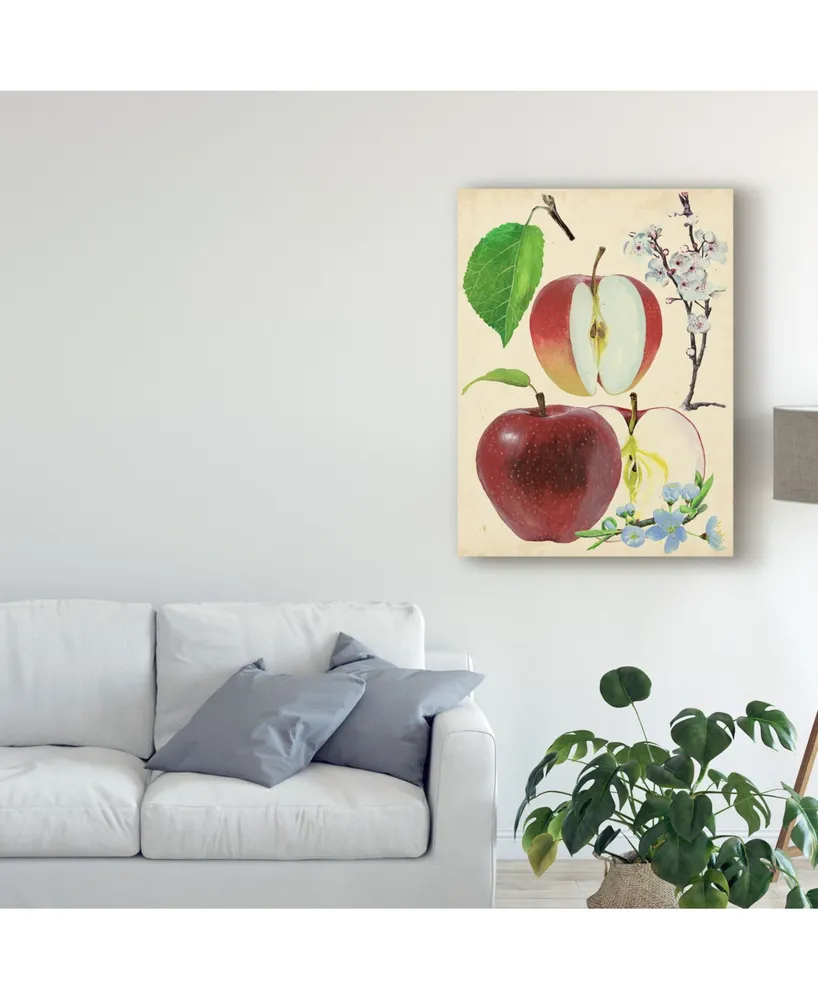 Melissa Wang Apple and Blossom Study Ii Canvas Art - 20" x 25"