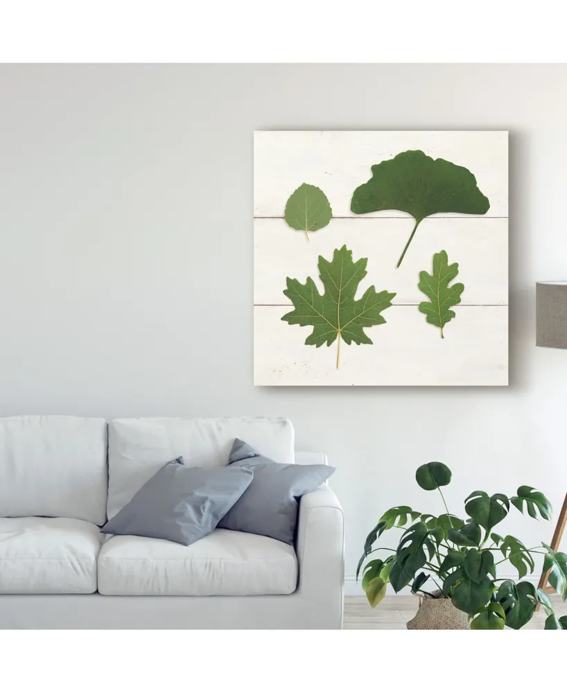Wild Apple Portfolio Leaf Chart V Shiplap Canvas Art