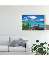 Philippe Sainte-Laudy Sunny Day Coastline Canvas Art - 37" x 49"