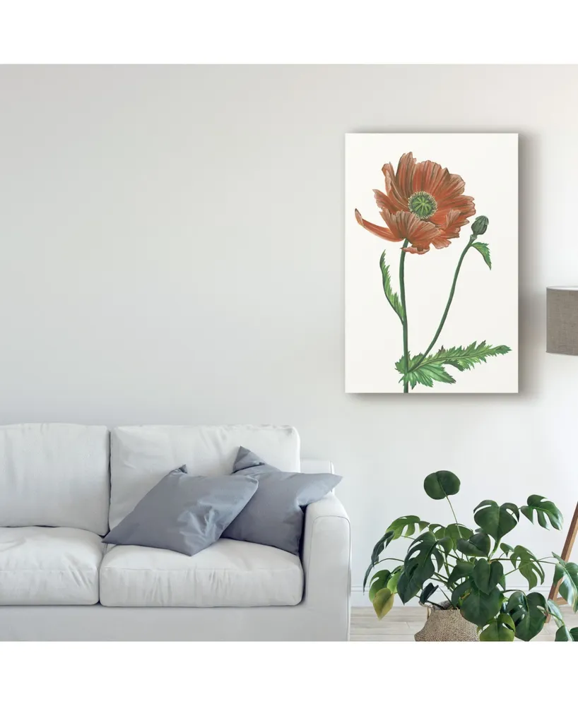 Melissa Wang Poppy Flower Iii Canvas Art