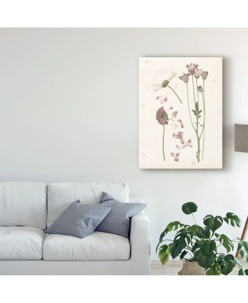 Grace Popp Pressed Blooms Ii Canvas Art