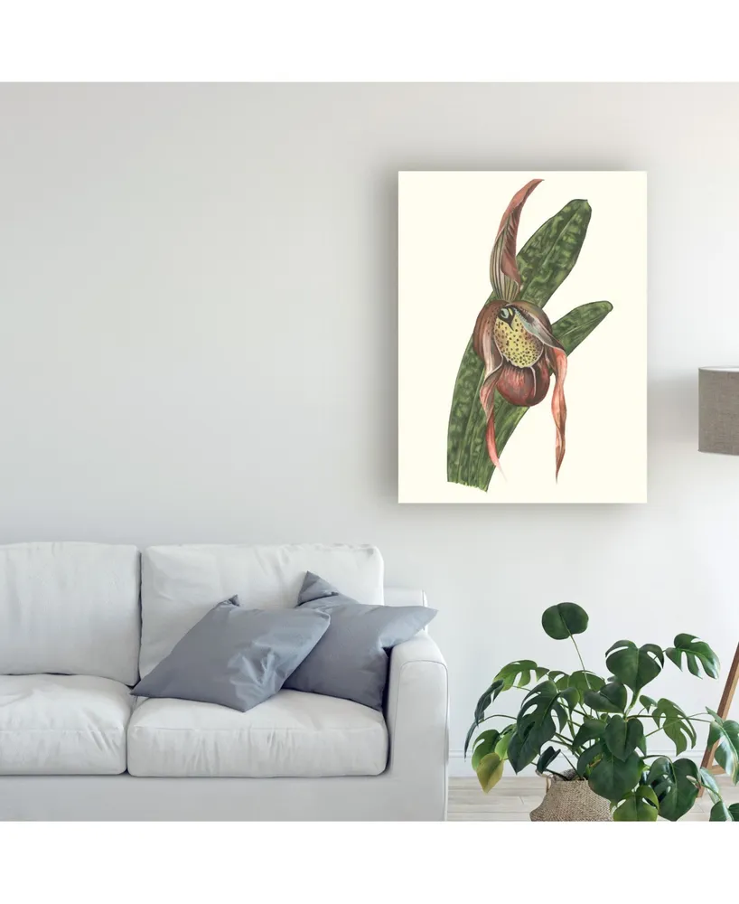 Melissa Wang Orchid Display Iv Canvas Art - 20" x 25"