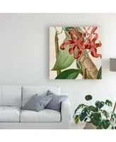 Vision Studio Cropped Turpin Tropicals Ix Canvas Art - 15" x 20"