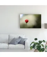 Lotte Gronkjar Red Poppy Left Canvas Art