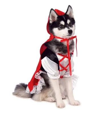 BuySeasons Red Riding Hood Pet Costume