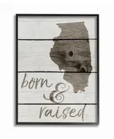 Stupell Industries Born and Raised Illinois Framed Giclee Art, 11" x 14"