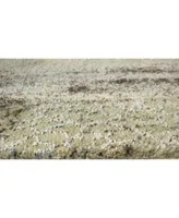 D Style Monte Mon9 Desert Area Rugs Collection