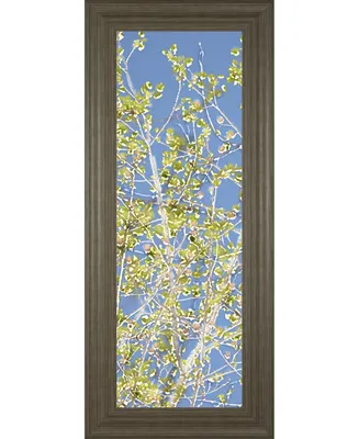Classy Art Spring Poplars Il by Sharon Chandler Framed Print Wall Art - 18" x 42"