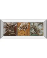 Classy Art The Three Poppies I by Patricia Pinto Mirror Framed Print Wall Art - 18" x 42"