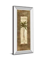 Classy Art Scroll Palm Il by Carol Robinson Mirror Framed Print Wall Art - 18" x 42"