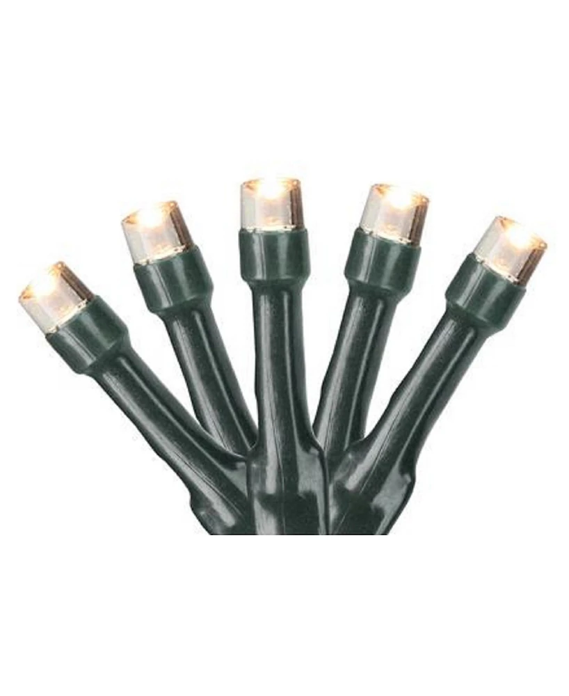 Northlight Set of 20 Battery Operated Warm White Led Wide Angle Christmas Lights - Green Wire