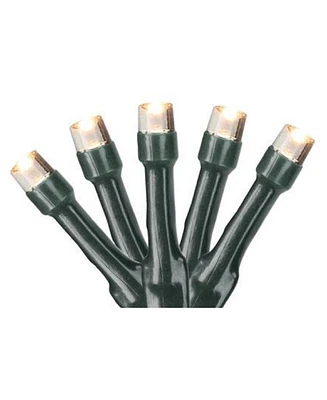 Northlight Set of 20 Battery Operated Warm White Led Wide Angle Christmas Lights - Green Wire