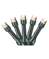 Northlight Set of 20 Battery Operated Warm White Led Wide Angle Christmas Lights - Green Wire