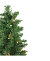 Northlight Set of 2 Pre-Lit Whitmire Pine Potted Artificial Christmas Trees 4' - Clear Lights