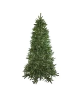 Northlight 6.5' Pre-Lit Led Instant Connect Neola Fraser Fir Artificial Christmas Tree - Dual Lights