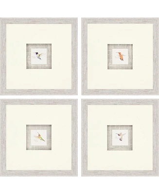 Paragon Hummingbirds Framed Wall Art Set of 4, 16" x 16"