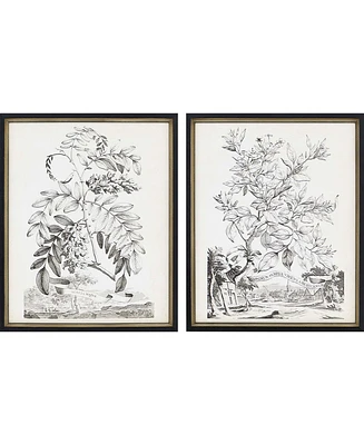 Paragon Botanicals I Framed Wall Art Set of 2, 22" x 18"