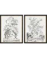 Paragon Botanicals I Framed Wall Art Set of 2, 22" x 18"