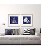 Paragon Seaweed on Navy Ii Framed Wall Art Set of 2, 27" x 27"