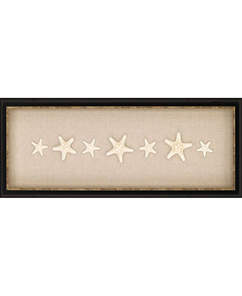 Paragon Knobby Starfish Framed Wall Art, 12" x 31"