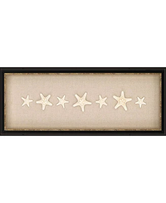 Paragon Knobby Starfish Framed Wall Art, 12" x 31"