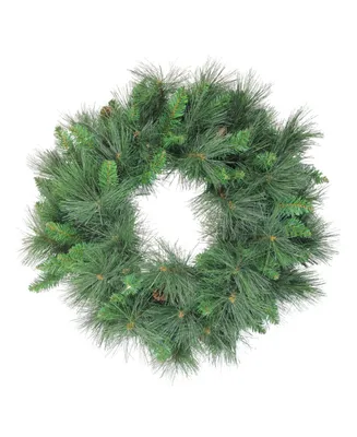 Northlight 24" White Valley Pine Artificial Christmas Wreath - Unlit