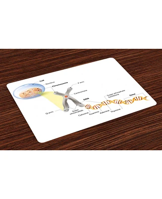 Ambesonne Educational Place Mats, Set of 4