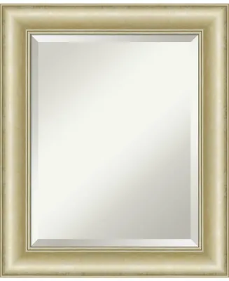 Amanti Art Textured Light Gold-tone Framed Bathroom Vanity Wall Mirror