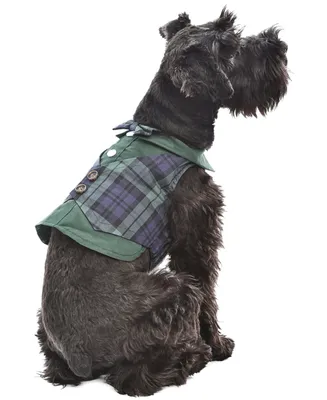 Parisian Pet Scottish Plaid Dog Tuxedo