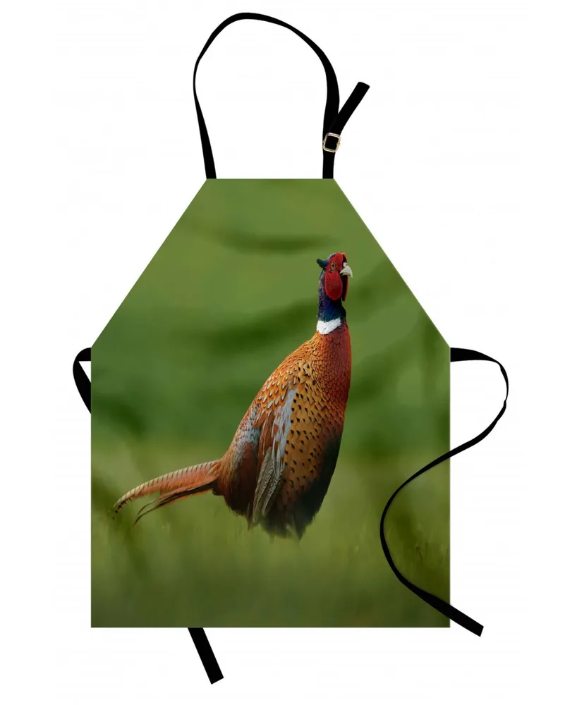 Ambesonne Bird Apron