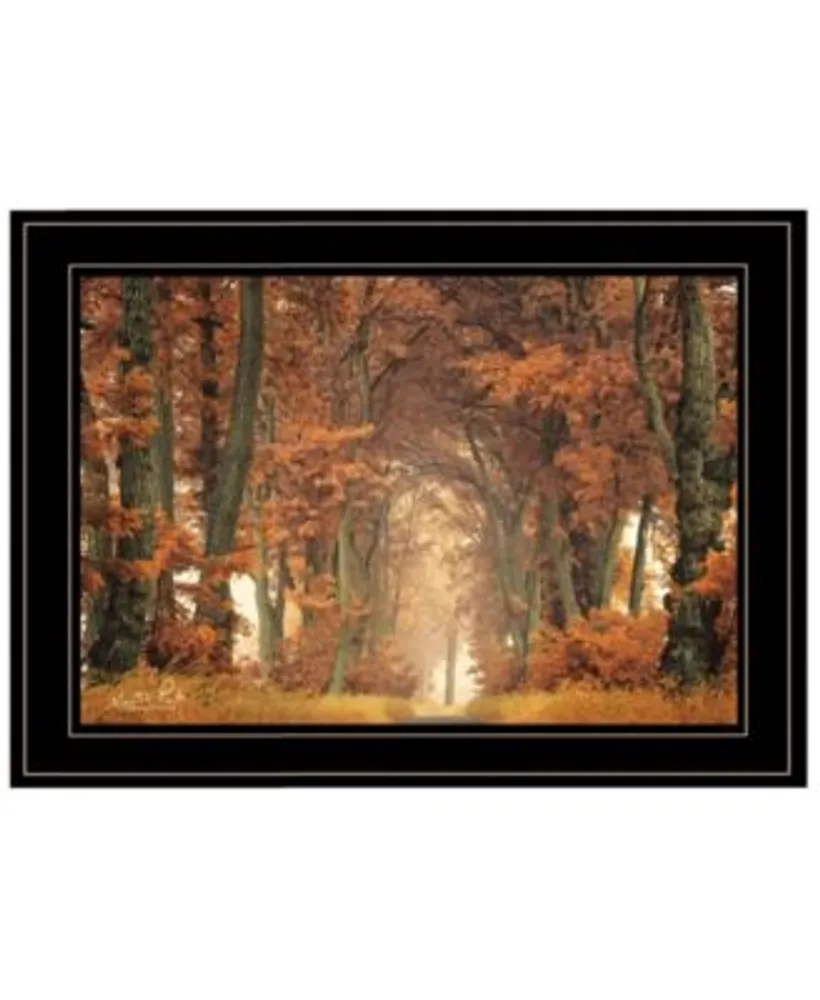 Trendy Decor 4u Follow Your Own Way By Martin Podt Ready To Hang Framed Print Collection