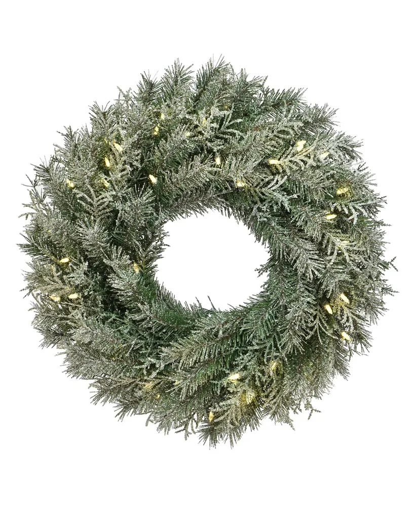 National Tree Company 24" Snowy Stonington Fir Wreath with Battery Operated Led Lights