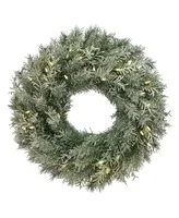 National Tree Company 24" Snowy Stonington Fir Wreath with Battery Operated Led Lights