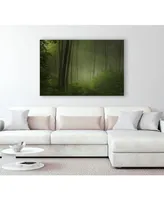 Giant Art 20" x 16" Maier - Forest Morning Museum Mounted Canvas Print