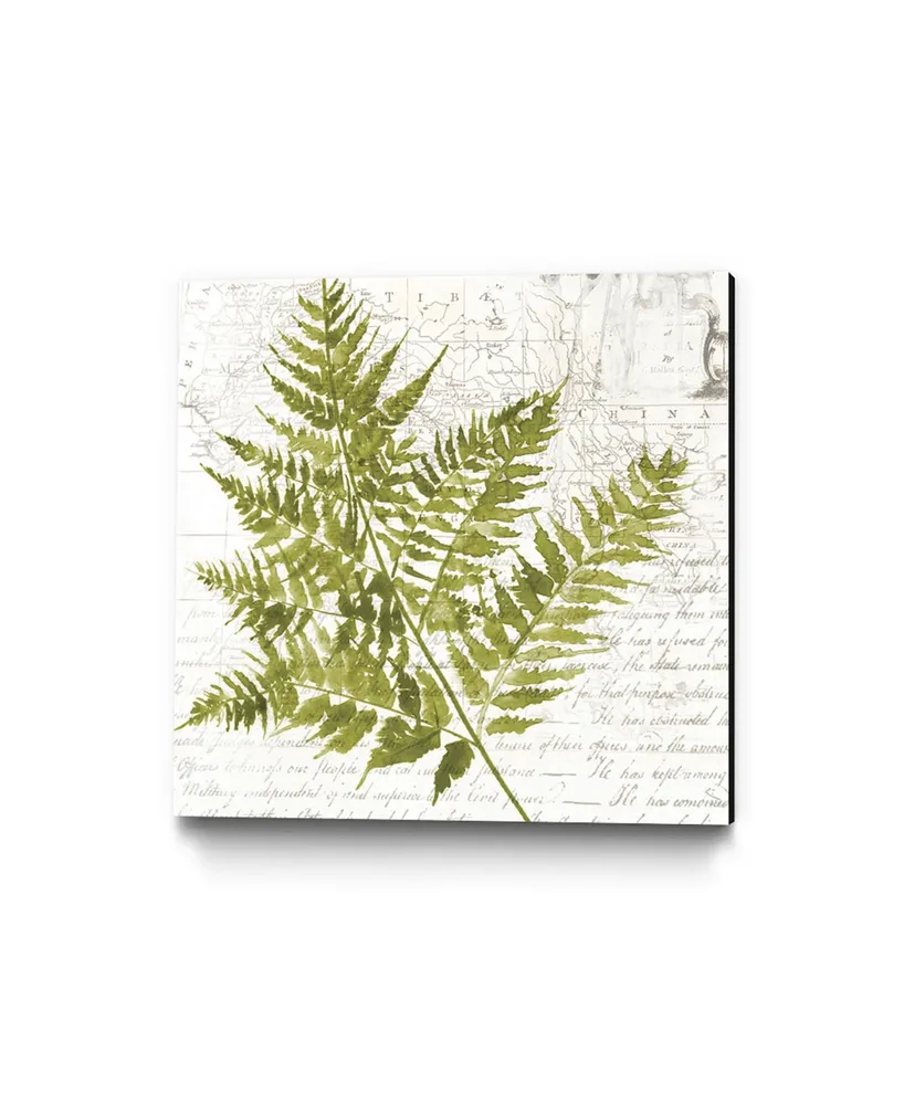 Giant Art 30" x 30" Fern I Museum Mounted Canvas Print