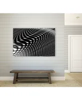 Giant Art 28" x 22" Interference Iv Museum Mounted Canvas Print